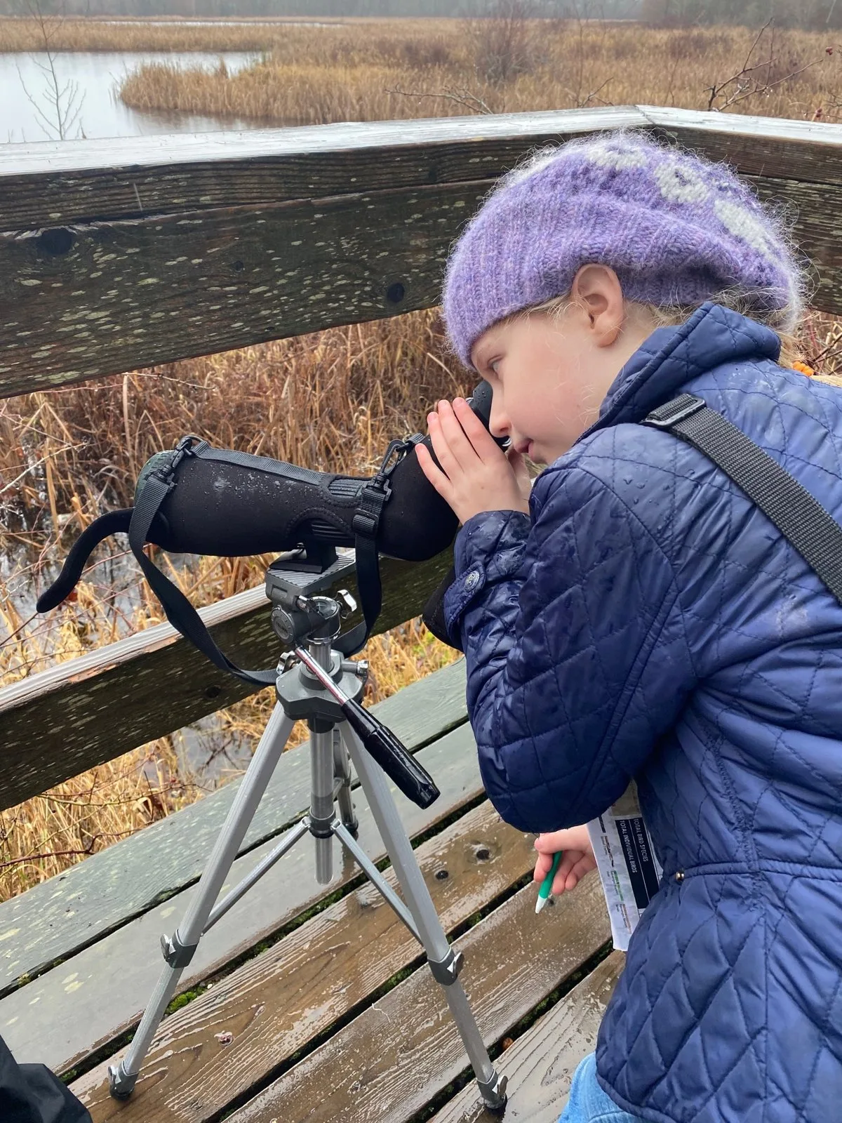 Young student looking through a spotting scope on a boardwalk